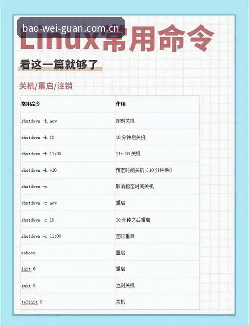 宝威赛事数据使用技巧：从入门到精通的必备指南